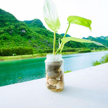 Phong Nha A Little Leaf Homestay Εξωτερικό φωτογραφία