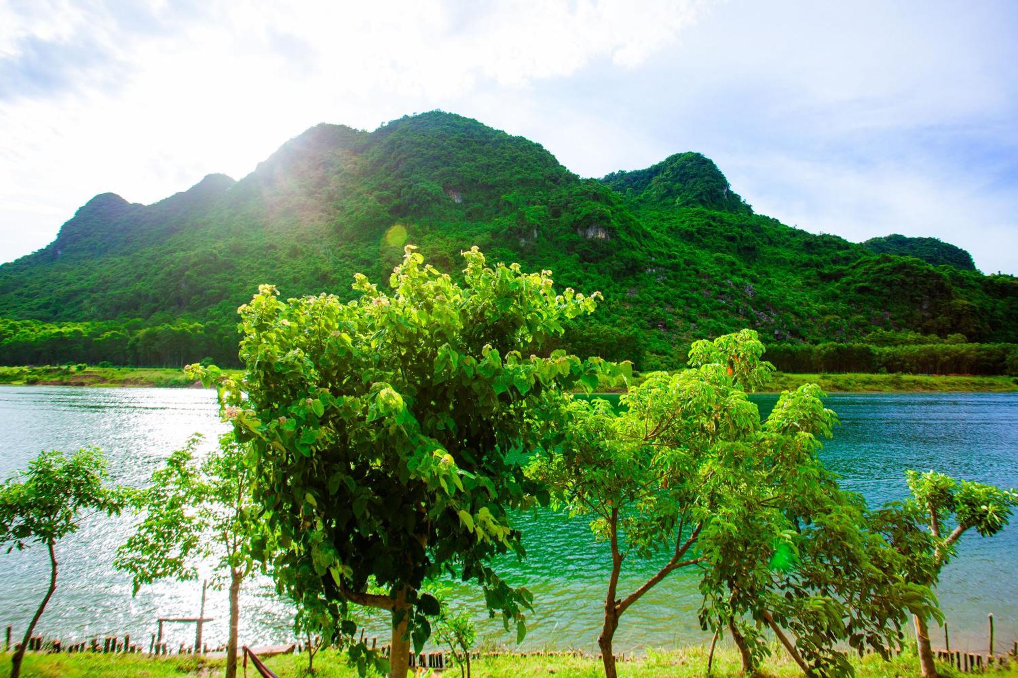 Phong Nha A Little Leaf Homestay Εξωτερικό φωτογραφία