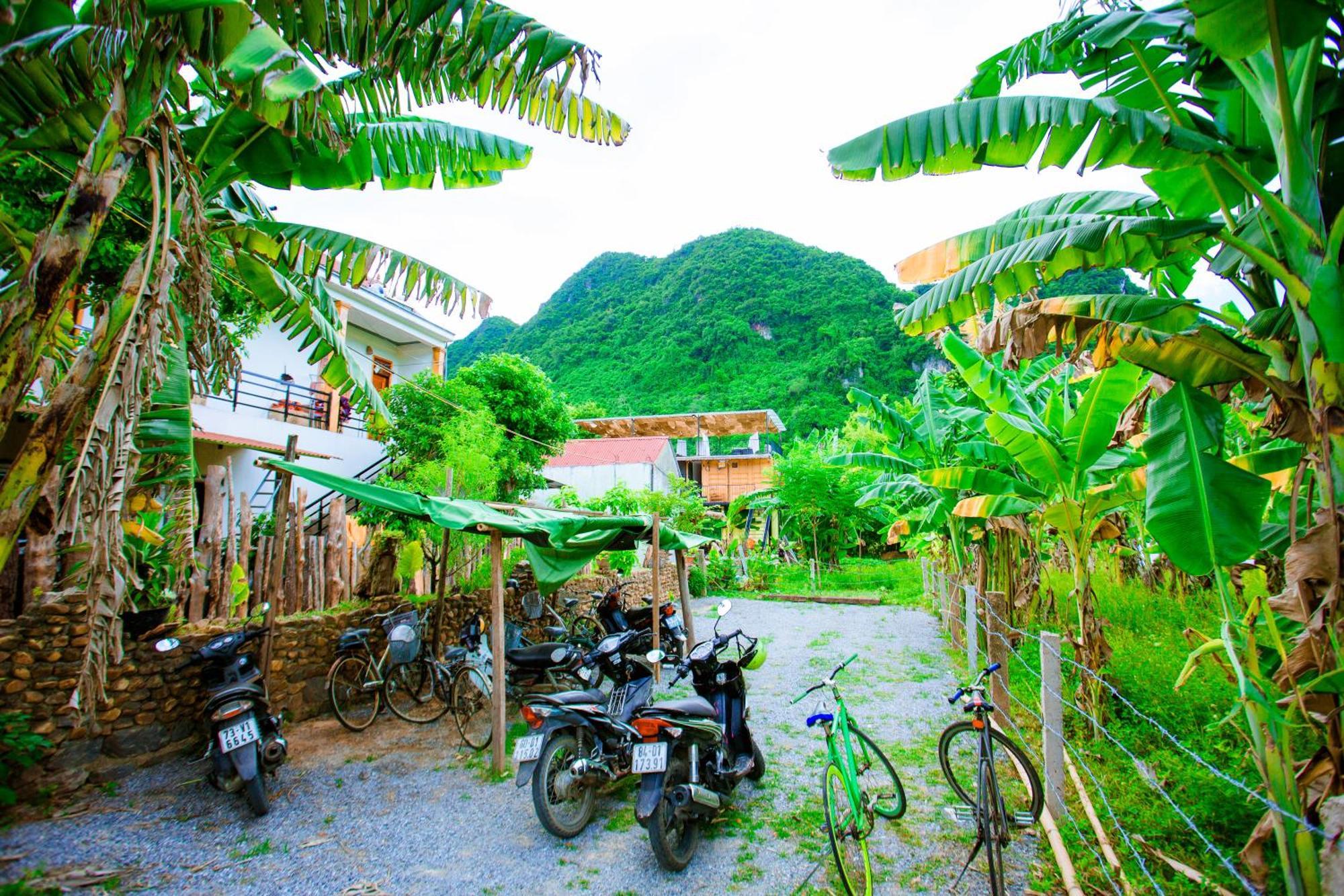 Phong Nha A Little Leaf Homestay Εξωτερικό φωτογραφία