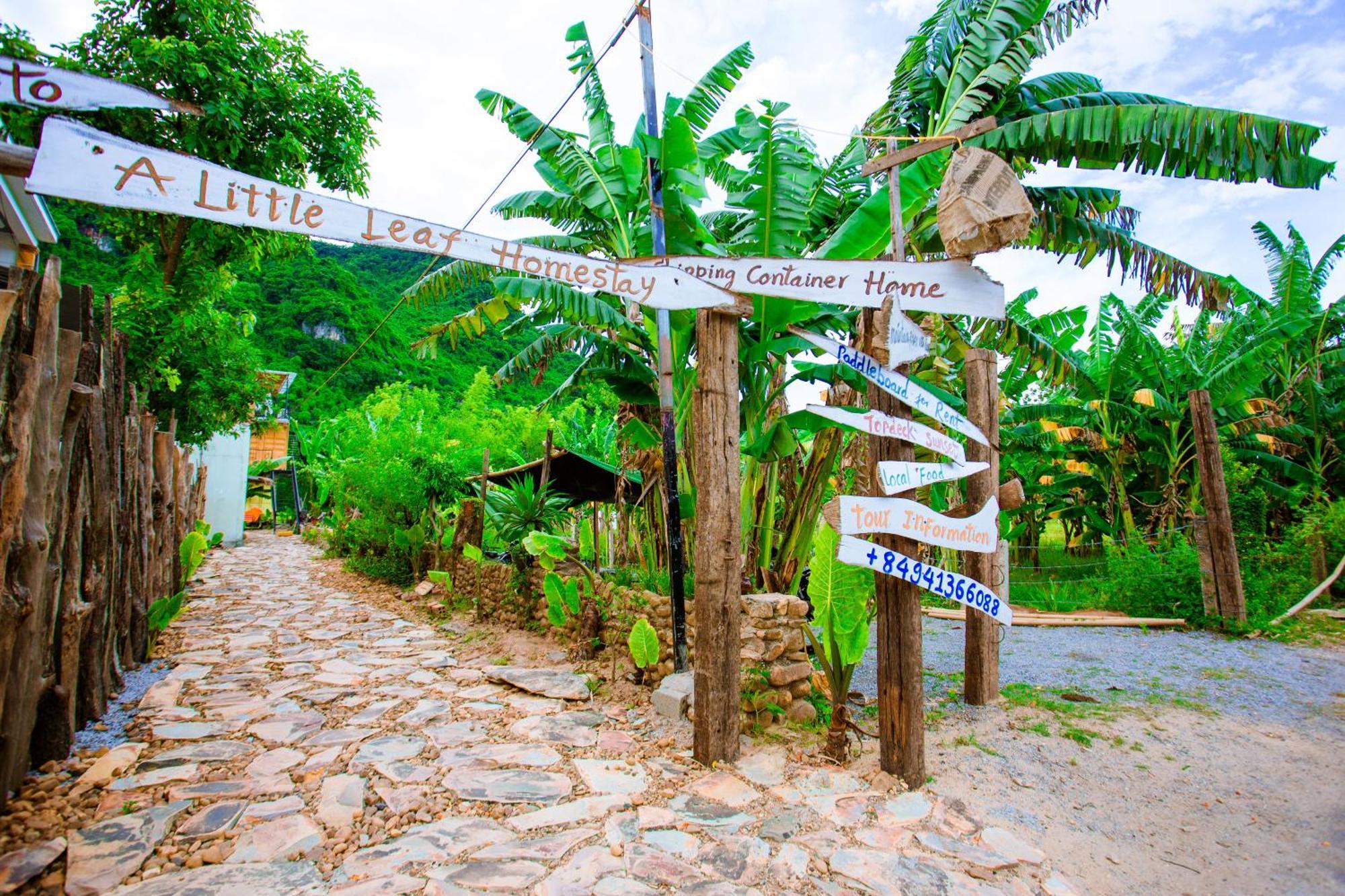 Phong Nha A Little Leaf Homestay Εξωτερικό φωτογραφία
